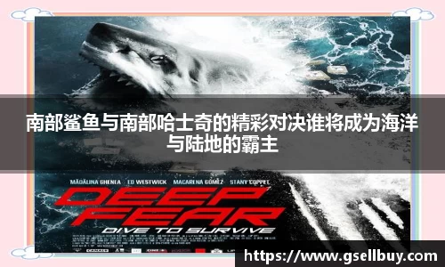 九州酷游官方网站